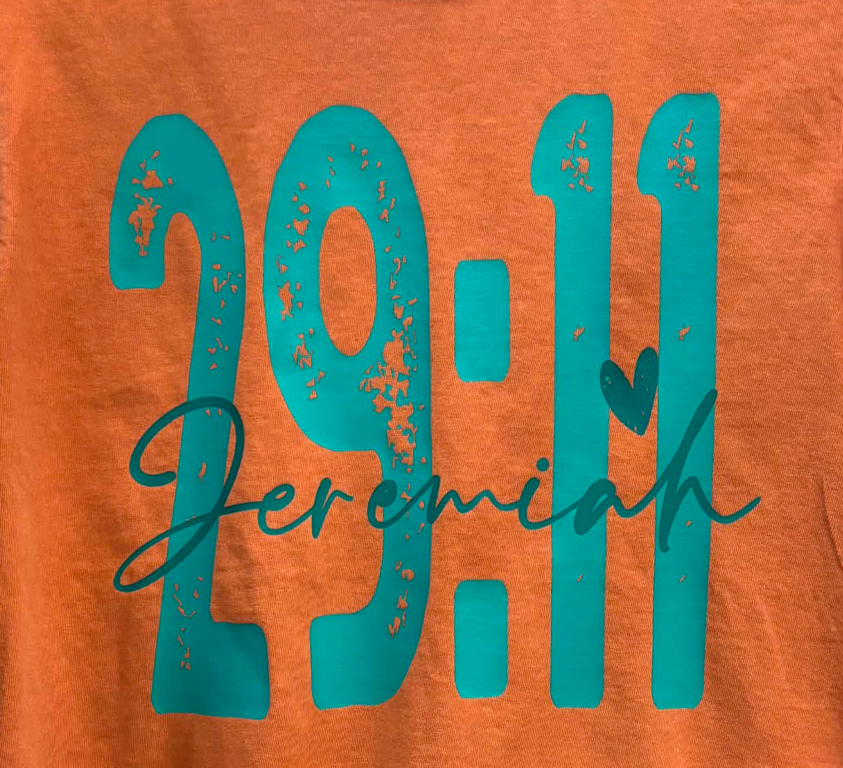 Jeremiah 29:11 T-Shirt